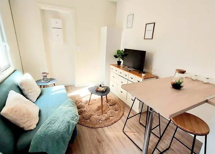 Cosy Yucca - 1Ch - Quartier Des Halles & Parking