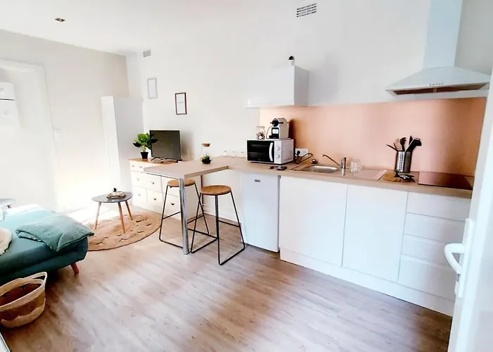 Cosy Yucca - 1Ch - Quartier Des Halles & Parking