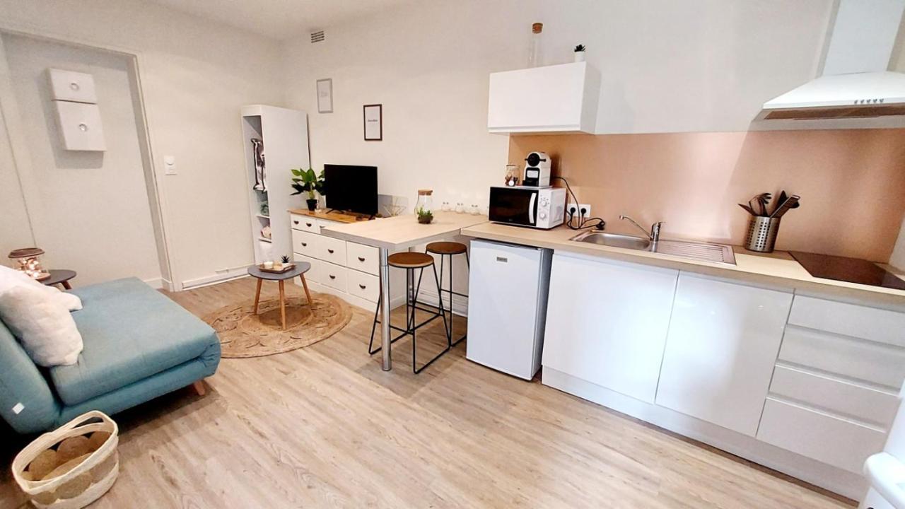 Apartment Cosy Yucca - 1ch - Quartier Des Halles & Parking Pau